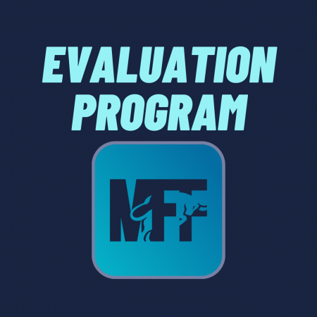 My Forex Funds evaluation program
