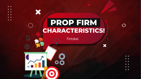 Fintokei Characteristics: Are these the ones you are looking for?