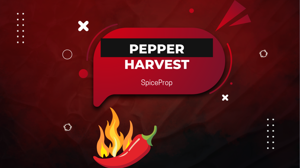 Pepper Harvest Begins: SpiceProp Offers Hot Deals on Programs
