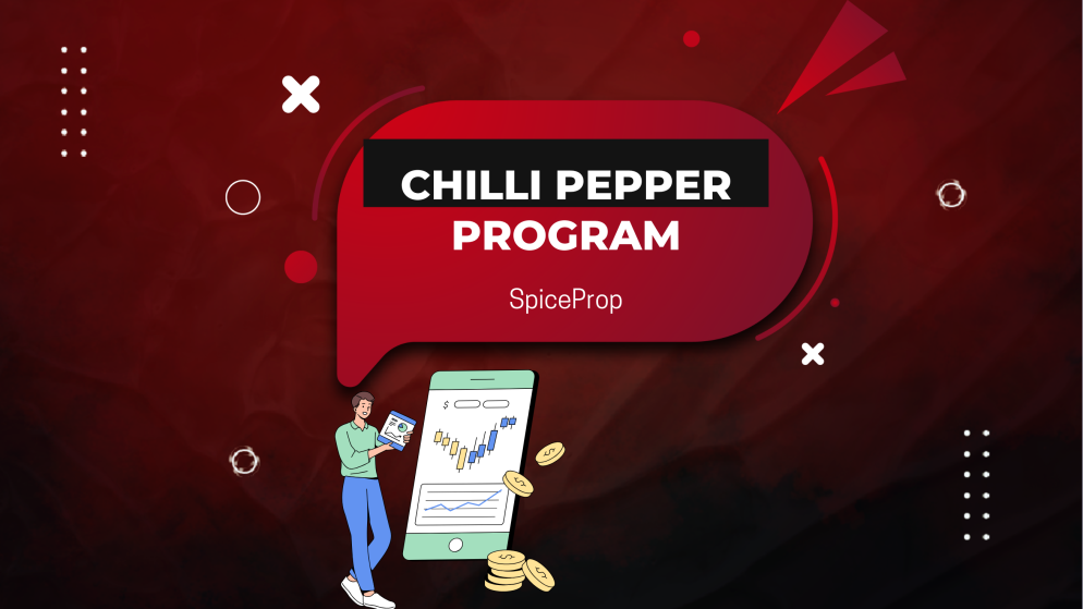 How the Chilli Pepper Program Works at SpiceProp?