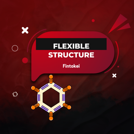 Why Traders Are Choosing Fintokei for Its Flexible Structure