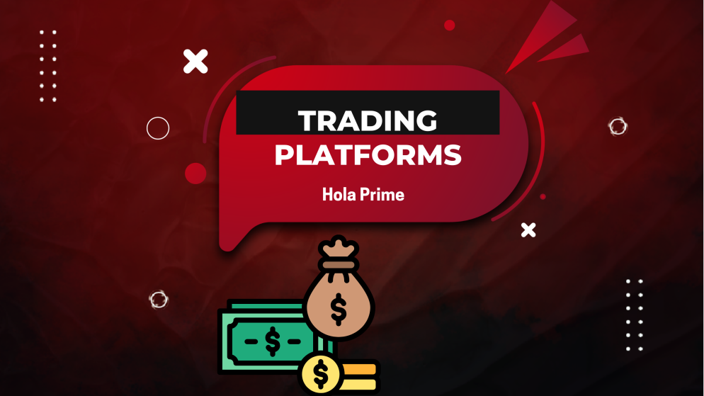 A Look at the Trading Platforms Offered by Hola Prime